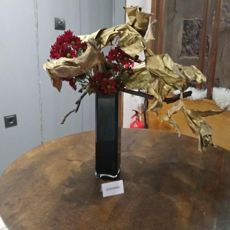 Sogetsu Sofia
