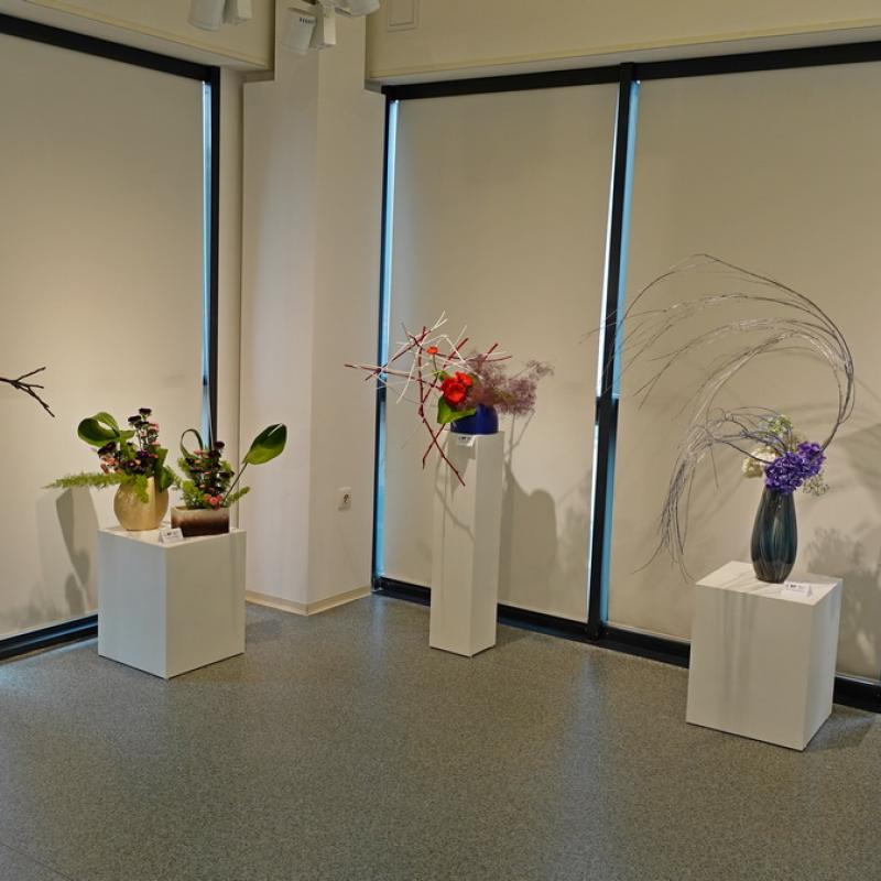 Изложба Полет в красотата / Exhibition Flight in beauty